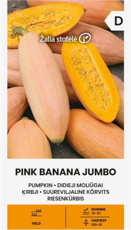 Dynia Pink Banana Jumbo bardzo smaczna odmiana nasiona Žalia stotelė sklep rajogrodnika